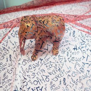 Ronzing Printed Mesh 100% Polyester Soft Tulle Fabric