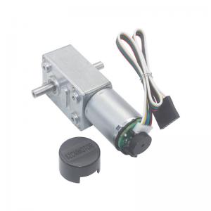 Quality Micro DC Electric Double Shaft Worm Geared Motor 6V 12V 24V 6-150RPM wholesale