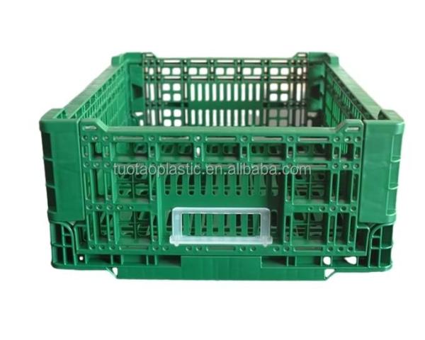Cheap Foldable PP Mesh Crate Box Design for Convenient Storage of Fruits and Vegetables for sale