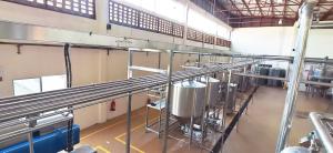 Quality High Efficiency Mango Juice Processing Machine With Safety Protection Processing Steps wholesale