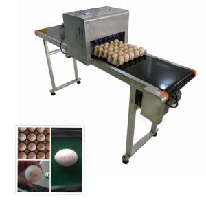 Quality Continuous Eggs Automatic Batch Coding Machine With 0mm - 5mm Printing Distance wholesale