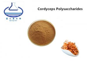 Quality Natural Herbal Cordyceps Extract Powder 30% 50% Cordyceps Polysaccharides wholesale